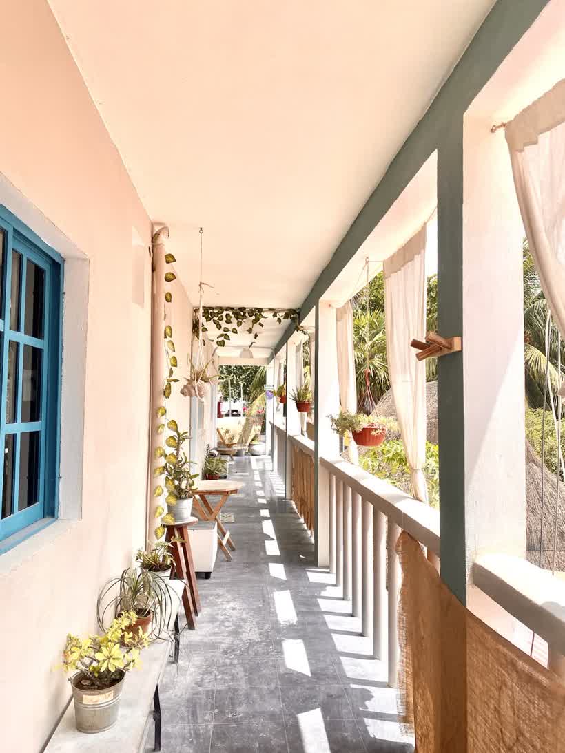 Barco Verde Hostal en Isla Holbox