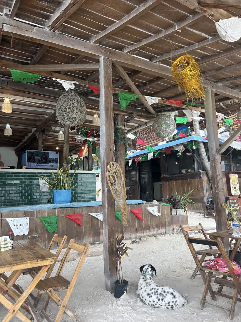 Money Beach Club en Isla Holbox